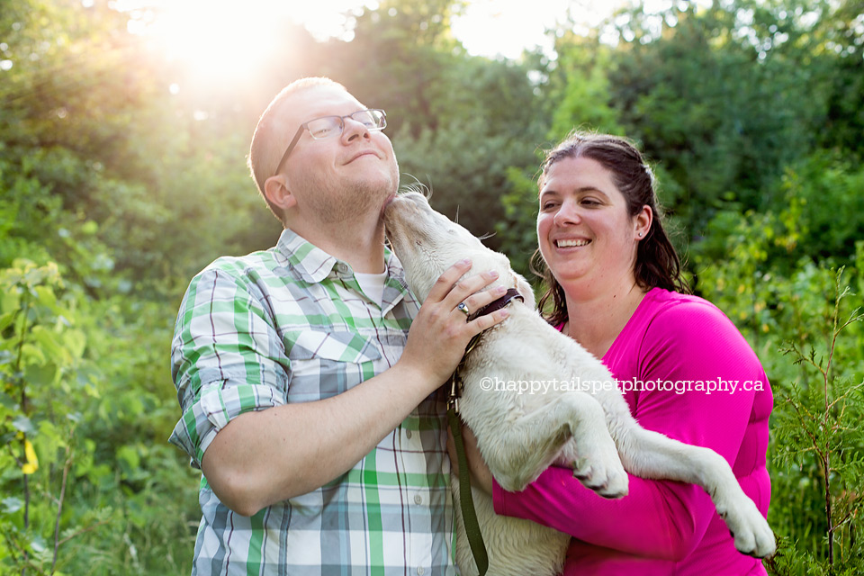 Candid dog photography with personality, Ontario puppy photos.