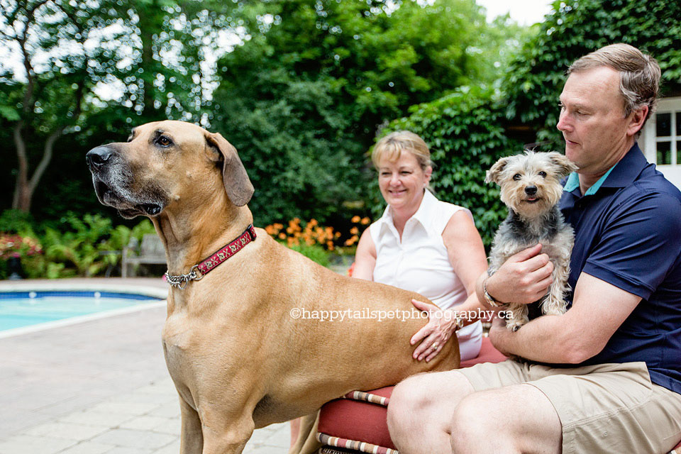 Hugh and Bunny, dogs