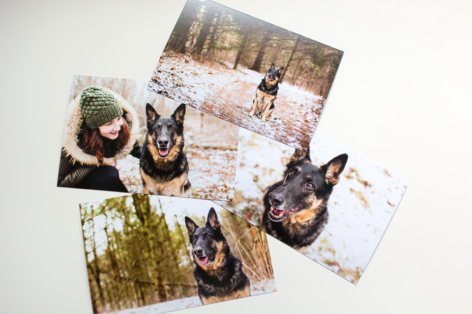 Print your digital images and photos with Happy Tails Pet Photography.